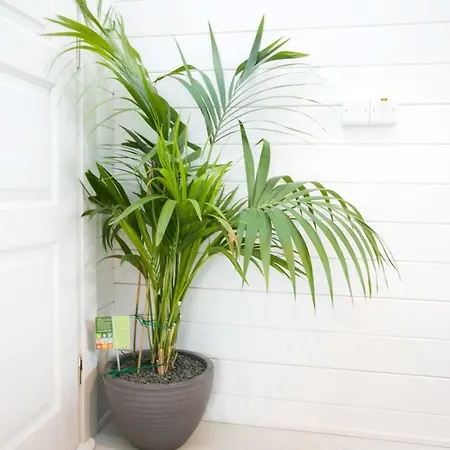 The Paddocks - Stylish, Cozy & Private