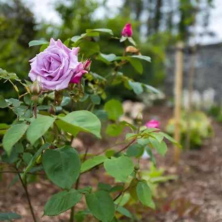 The Paddocks - Stylish, Cozy & Private Domek alpejski *